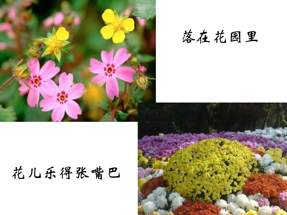 《小雨沙沙沙》课件02_第3页