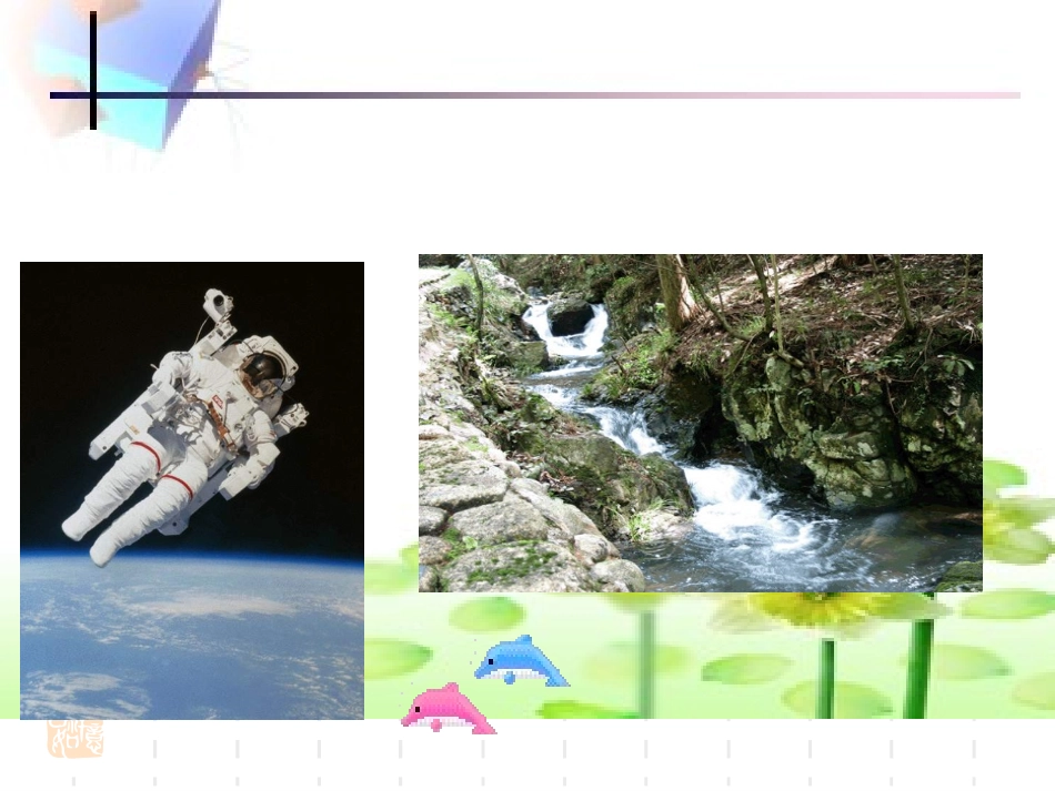 物理：132《重力》课件1（人教版九年级）_第1页