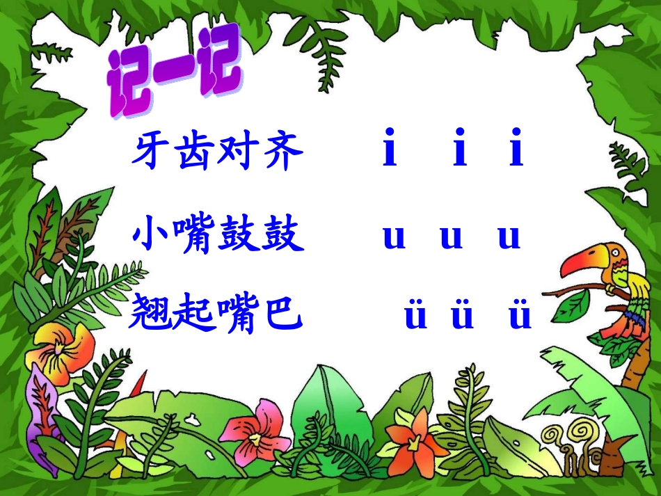 《汉语拼音i_u_ü》课件_第3页