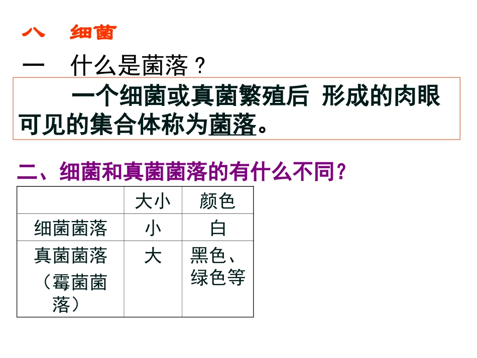 细菌与真菌总复习_第3页