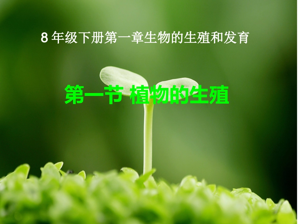 年级下册第一章第一节植物的生殖_第1页