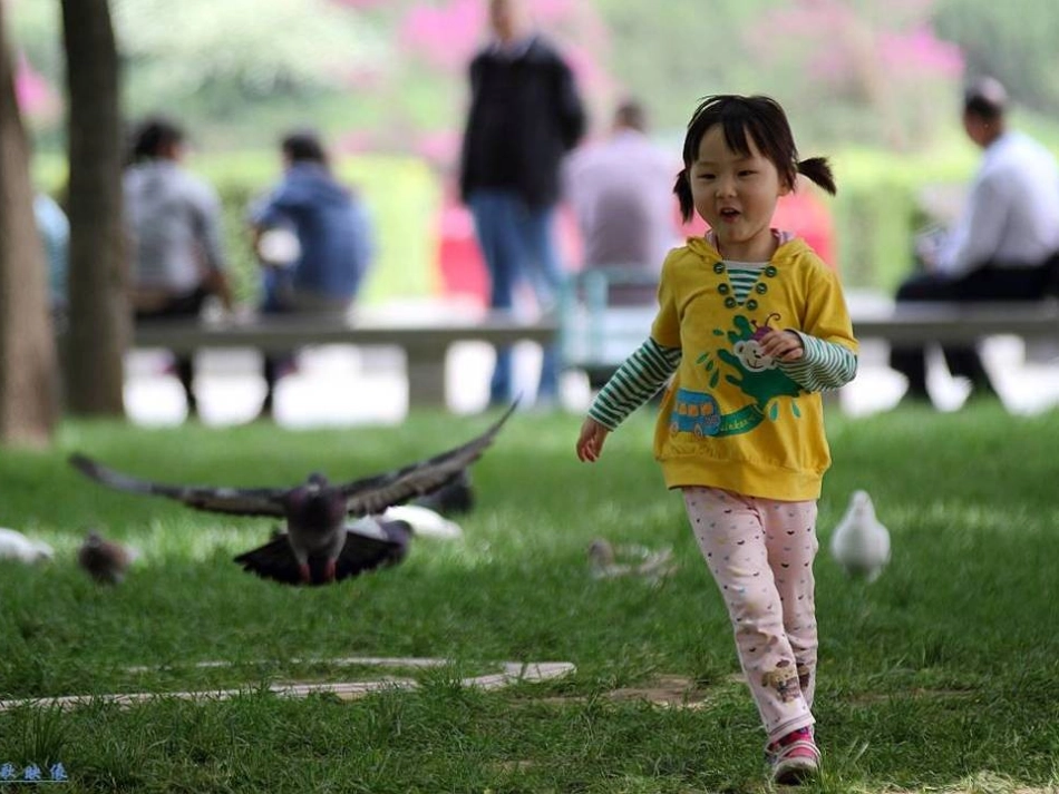 明天不封阳台2_第3页