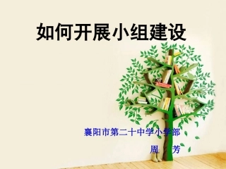 如何开展小组建设定稿