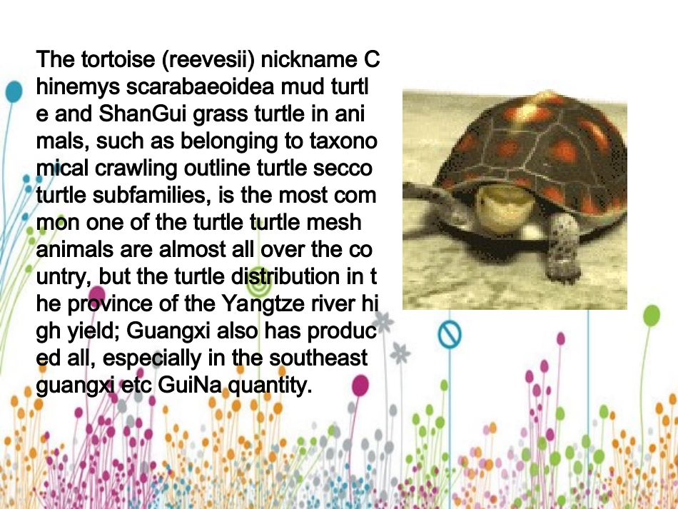 小学英语口语教案PPT_第3页