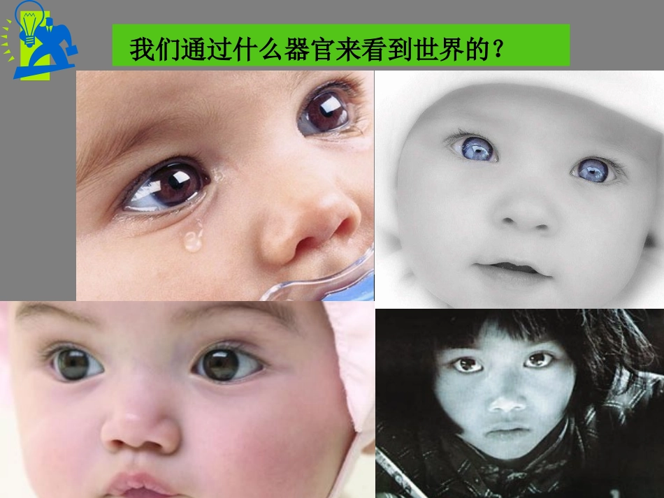 窗口与菜单演示稿_第2页