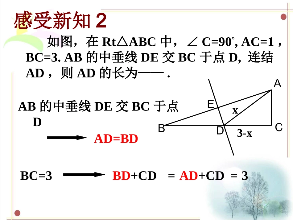 勾股定理与方程思想的综合应用_第2页