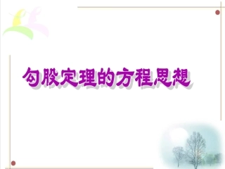 勾股定理与方程思想的综合应用