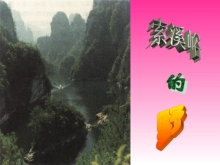 人教版六年级语文《索溪峪的野》课件