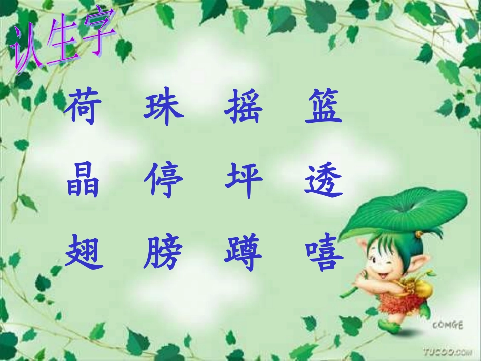 荷叶圆圆_PPT课件__第1页