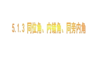 531同位角内错角同旁内角