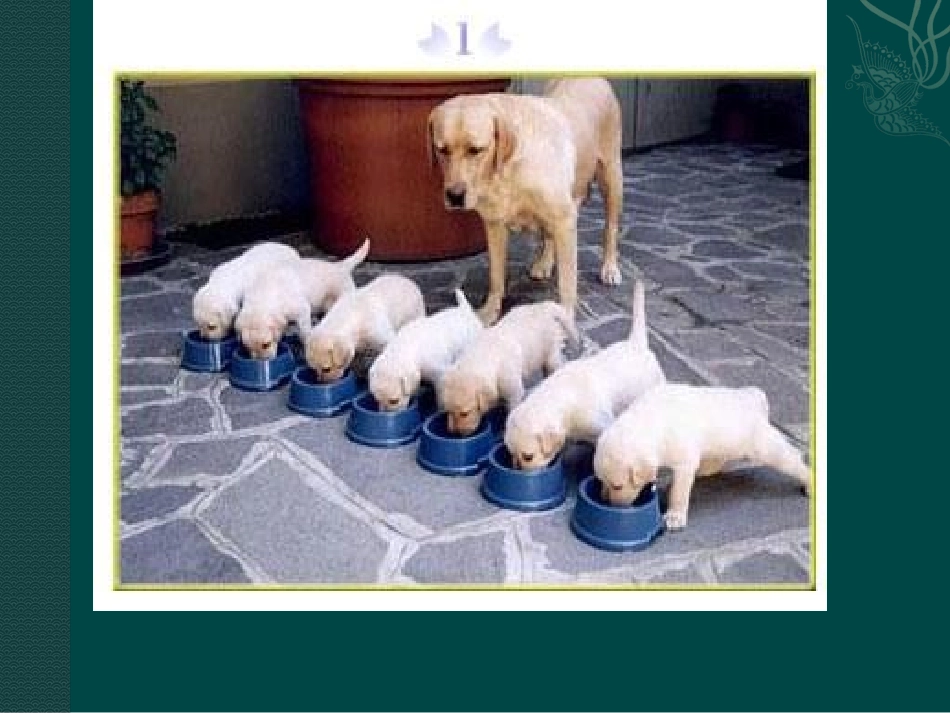 数学：11不等关系课件1(北师大版八年级下)_第3页