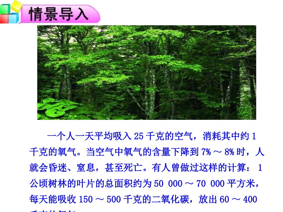 绿色植物与生物圈的物质循环_第3页