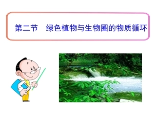 绿色植物与生物圈的物质循环