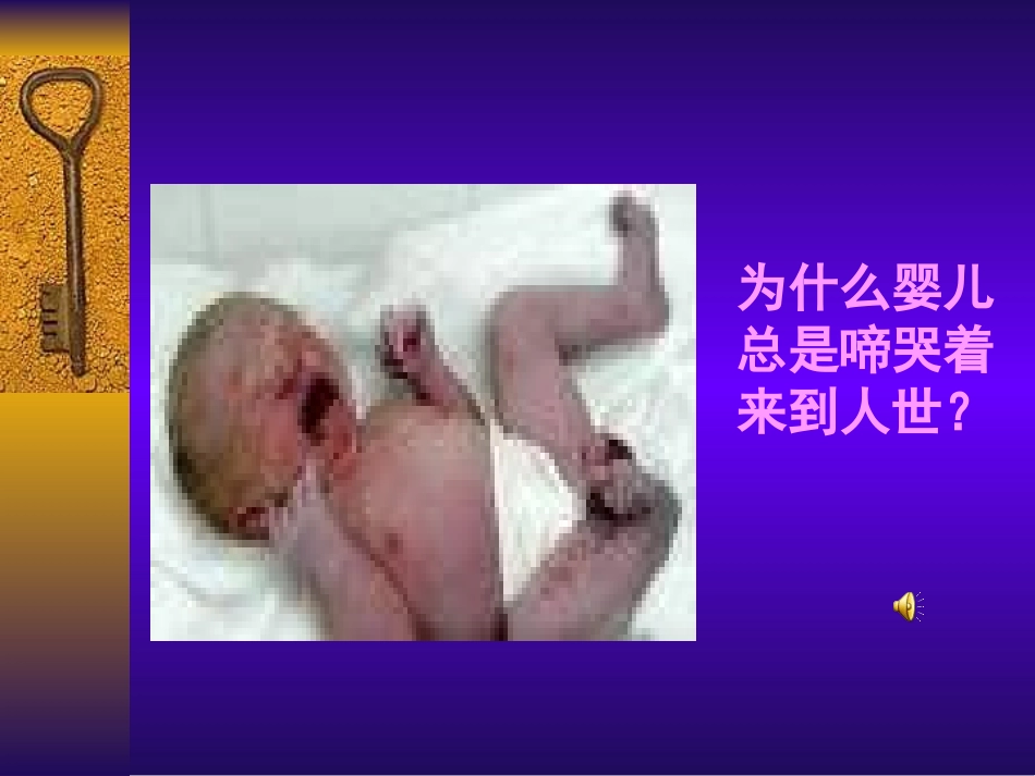 公开课呼吸道对空气的处理_第2页