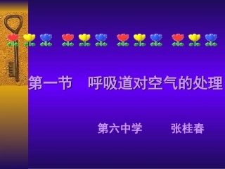 公开课呼吸道对空气的处理