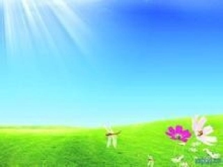 一图四式练习课