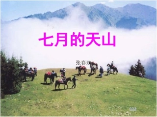 天山课件张春玫