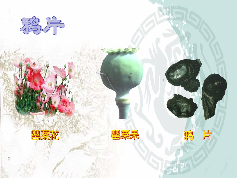 八年级历史第一课鸦片战争_第2页