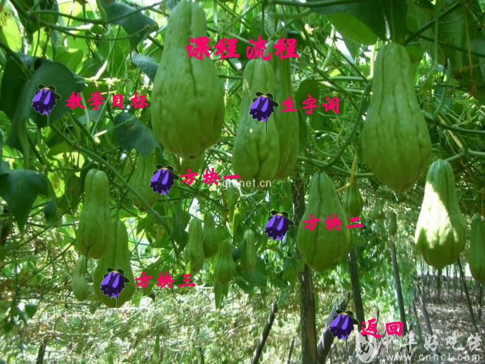 乡下人家周应泽_第2页