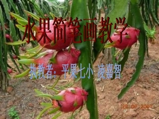 水果简笔画教学课件