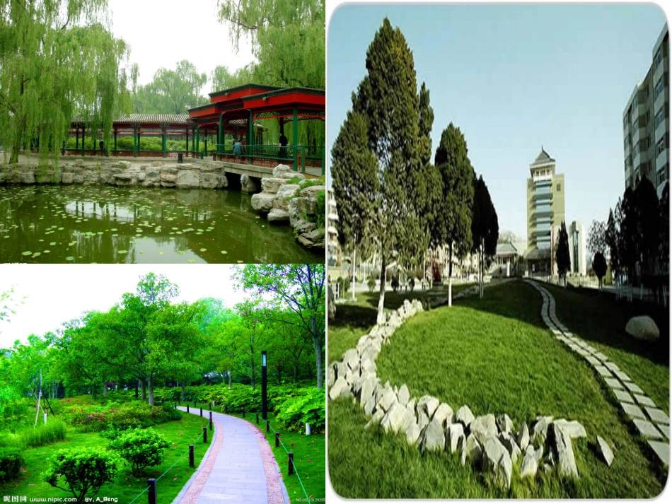 植物光合作用的发现_第2页