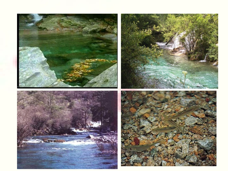 《小石潭记》最新_第3页