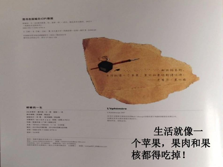 《蜉蝣的一生》_第3页