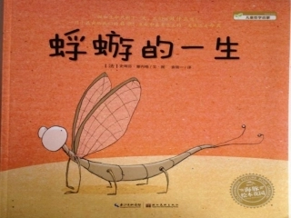 《蜉蝣的一生》