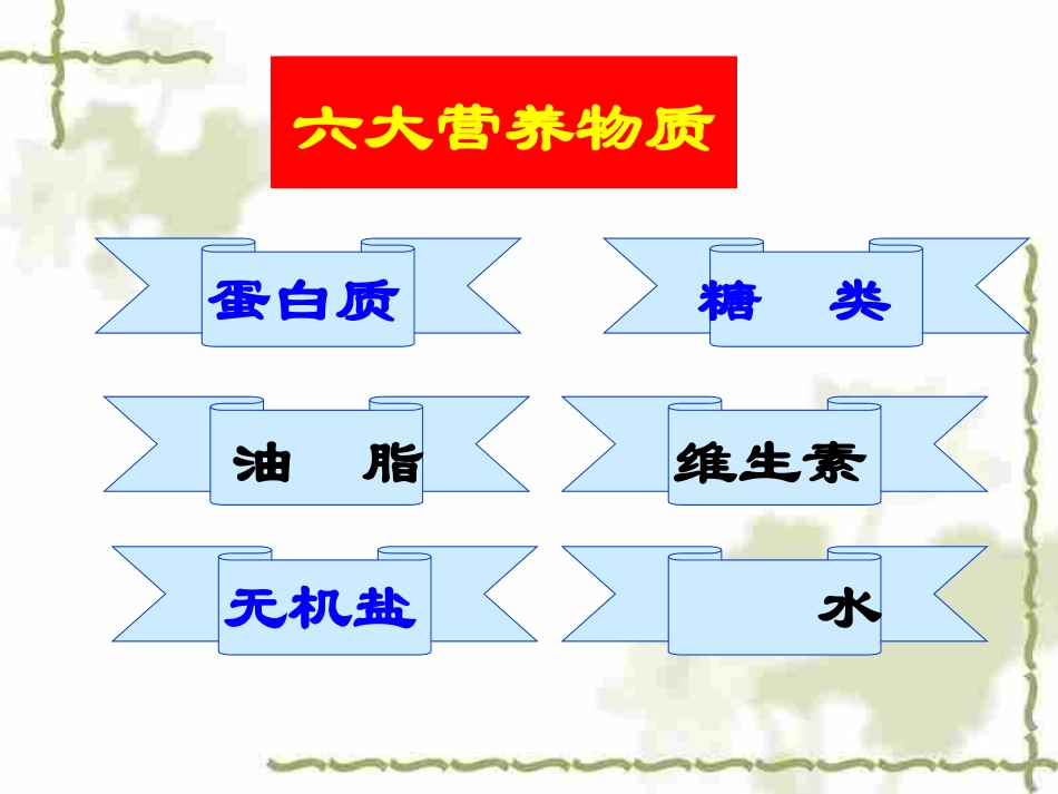 人类重要的营养物质课件_第2页