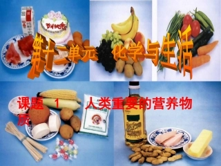 人类重要的营养物质课件