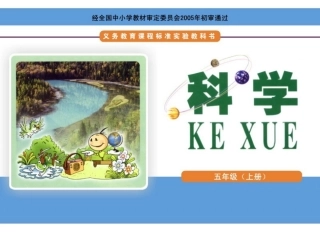 在斜坡上教学课件