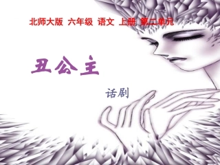 北师大版六年级语文上册《丑公主》优秀课件