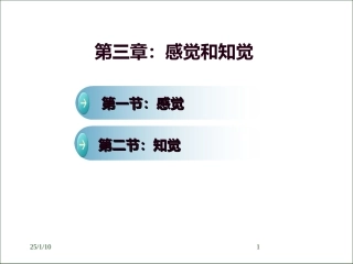 心理学课件第三章感觉和记忆