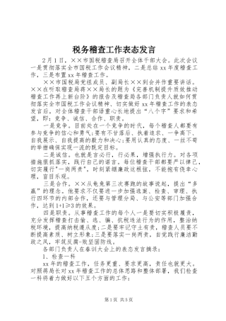 税务稽查工作表态发言稿