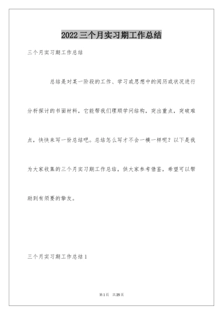 2024三个月实习期工作总结_1