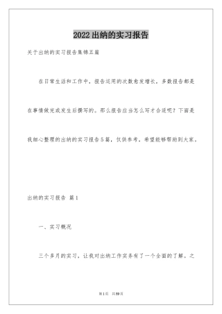 2024出纳的实习报告_77