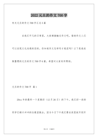 2024元旦的作文700字_19