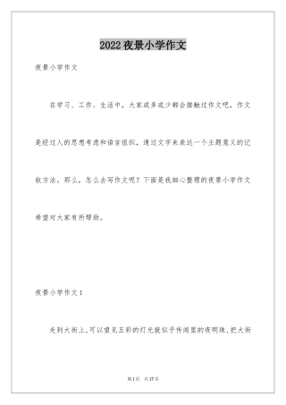 2024夜景小学作文_3