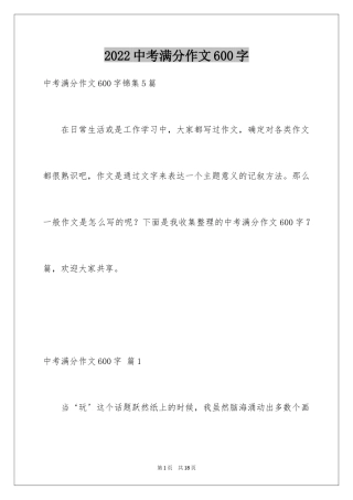 2024中考满分作文600字_17