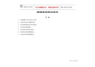 摸摸营销策划报告