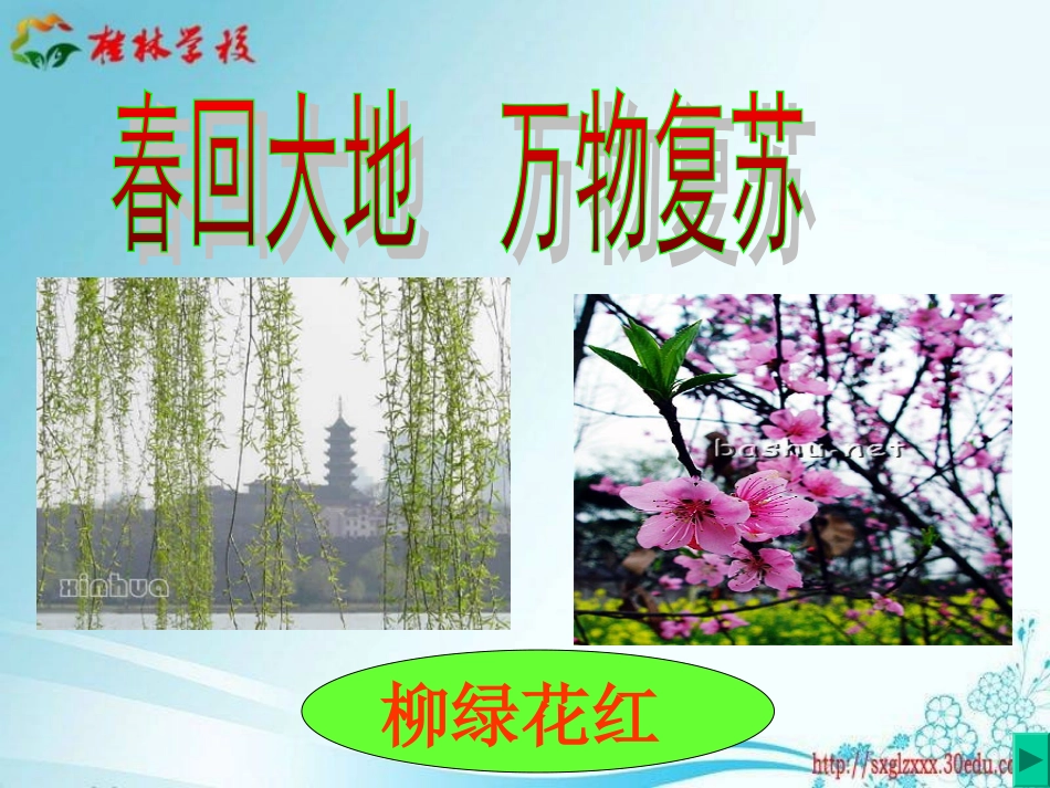 春雨的色彩1_第3页