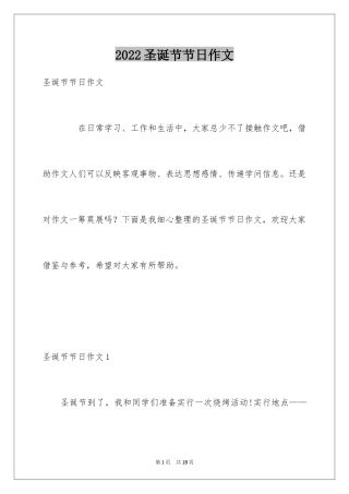 2024圣诞节节日作文_4