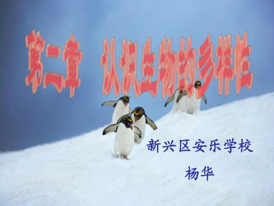 认识生物的多样性_第1页