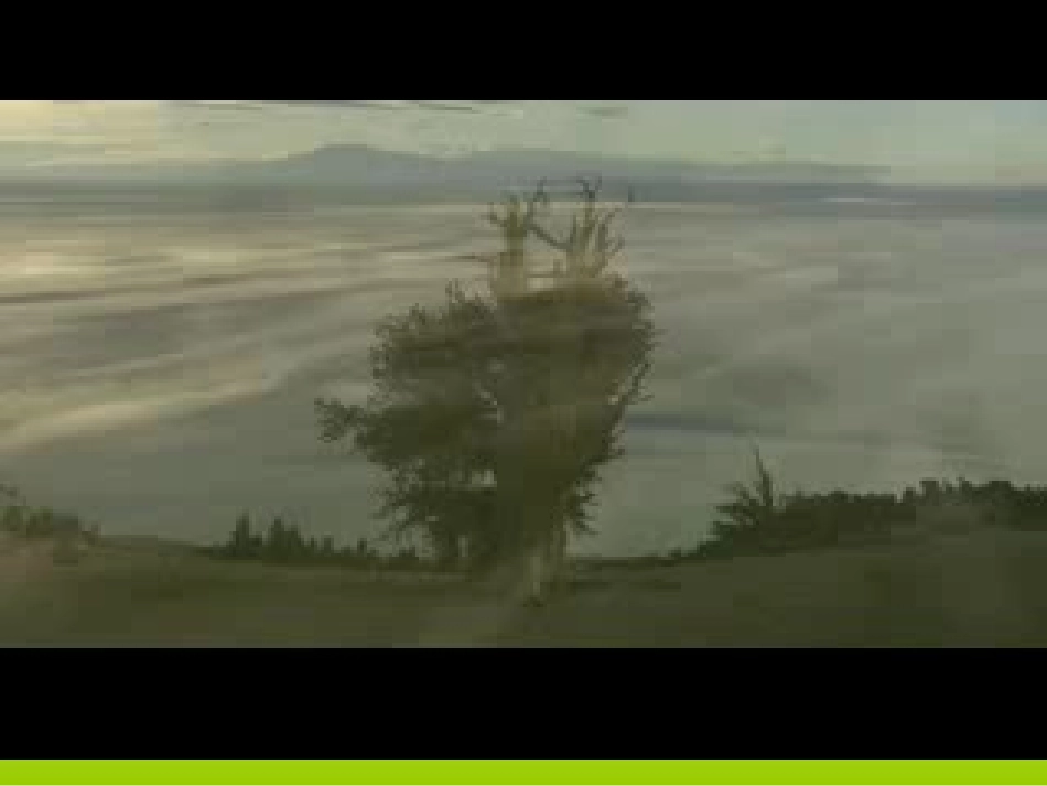 认识生物的多样性_第2页