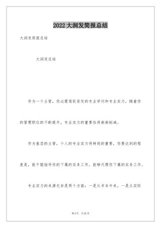 2024大润发简报总结