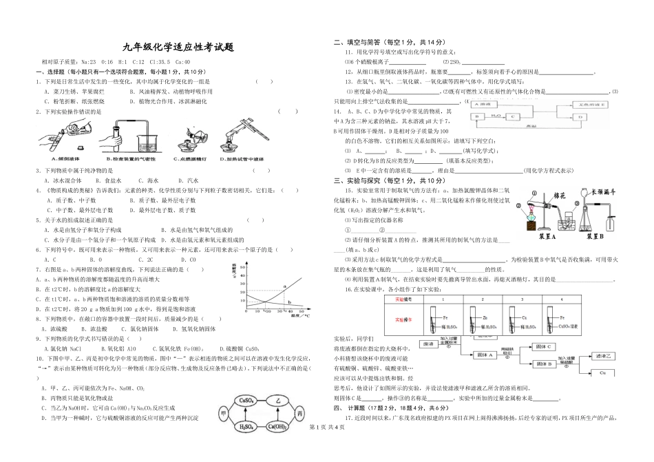 九年级化学适应性考试题_第1页