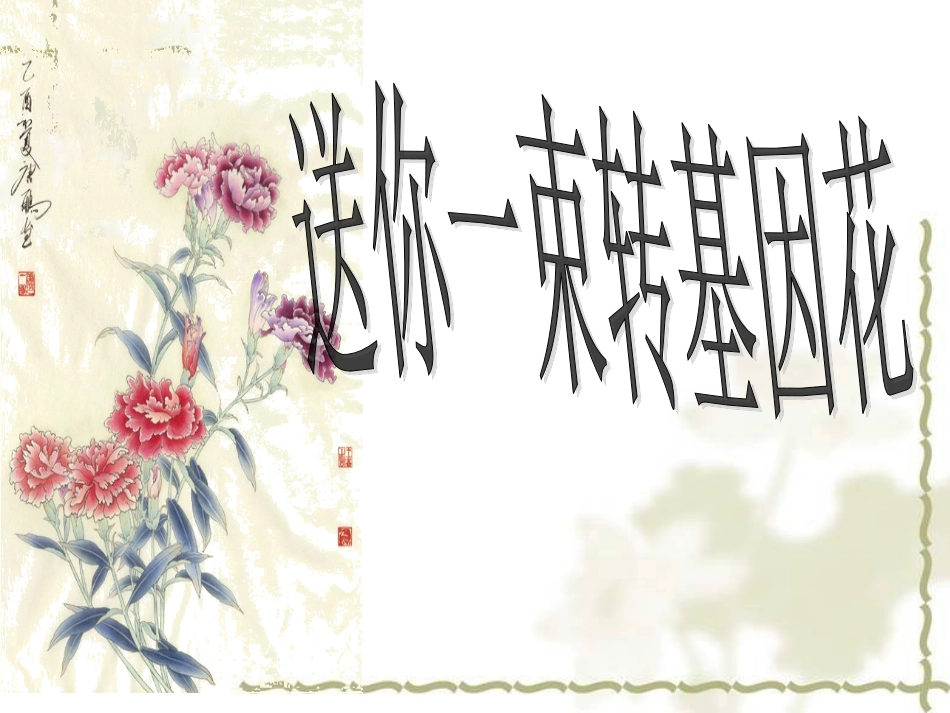 送你一束转基因0_第1页