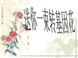 送你一束转基因0
