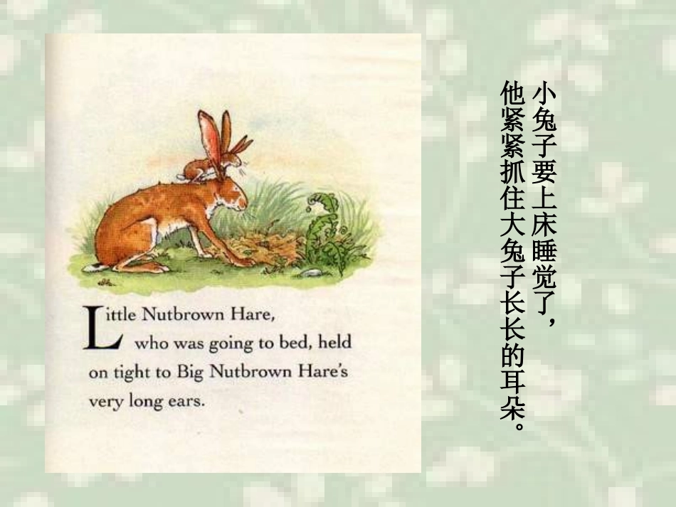 猜猜我有多爱你_绘本 (2)_第2页