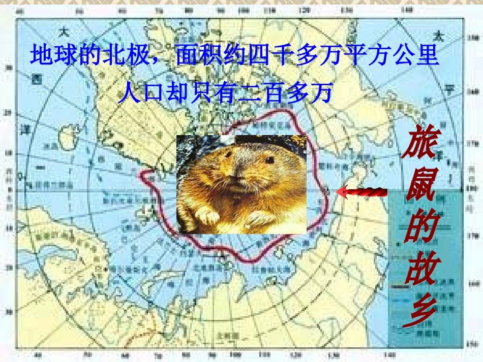 旅鼠之谜 (2)_第2页